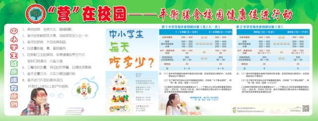 卫计委营养餐_营养餐卫生管理制度_营养餐膳食委员会
