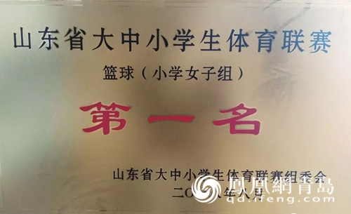 小平阳镇篮球比赛冠军_平阳县篮球队_平阳县篮球赛