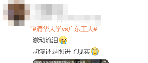 学校篮球冠军决赛_篮球决赛冠军学校名单_篮球冠军争夺赛