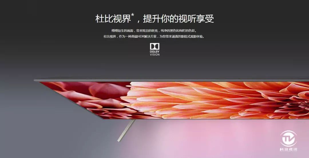 上海上港足球队冠军是谁_上海上港足球队队员名单_上海上港足球队官微