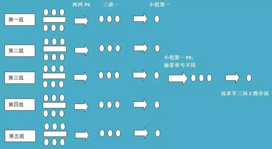 游泳冠军争霸赛_争霸游泳赛冠军是谁_争霸游泳赛冠军名单