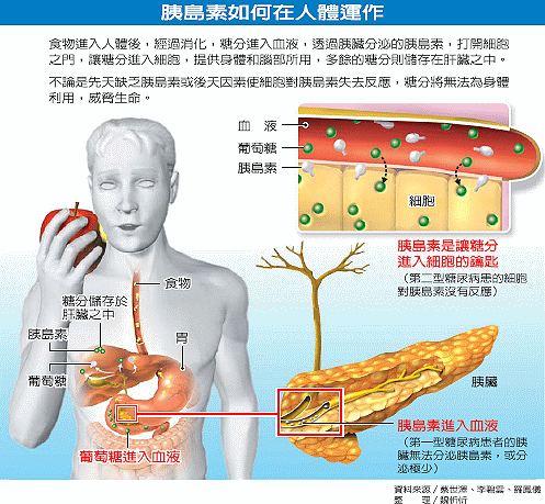 蛋白质健身后吃还是健身前吃_健身蛋白质_蛋白质健身的作用