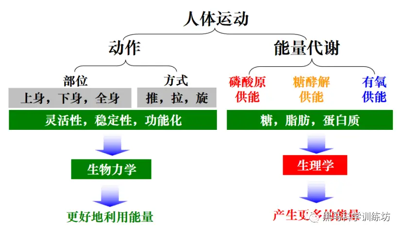 运动动作图片图解_运动动作图简笔画_运动动作图