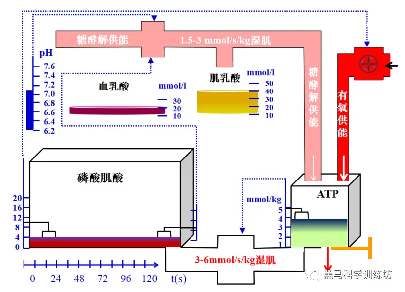 运动动作图_运动动作图片图解_运动动作图简笔画
