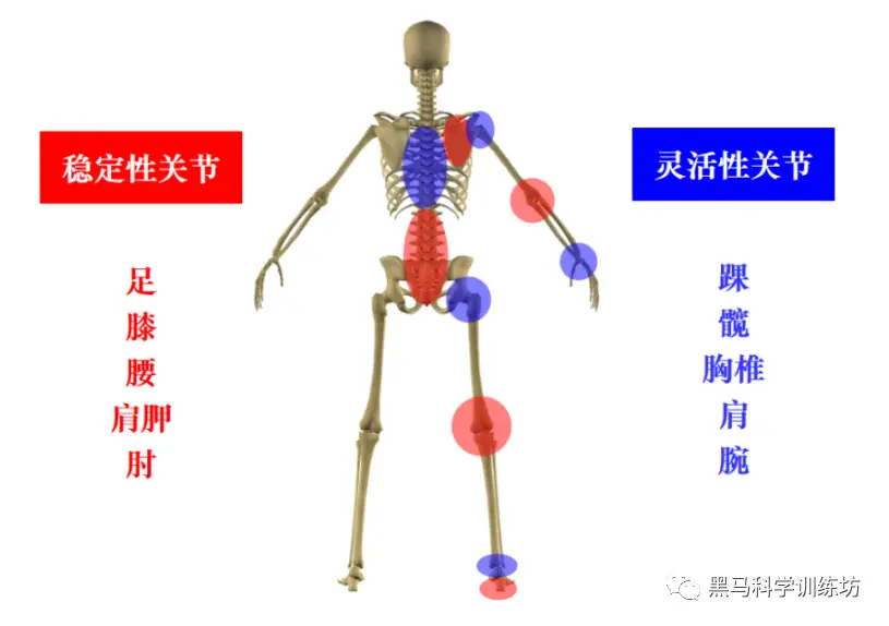 运动动作图_运动动作图片图解_运动动作图简笔画