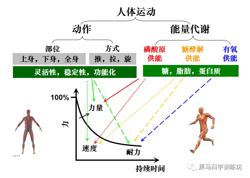 运动动作图片图解_运动动作图简笔画_运动动作图