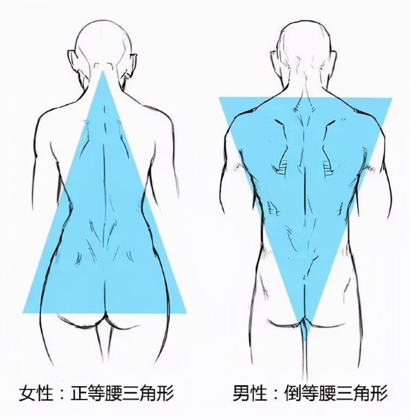 篮球简易画法_篮球技巧简画_篮球咋画简笔画