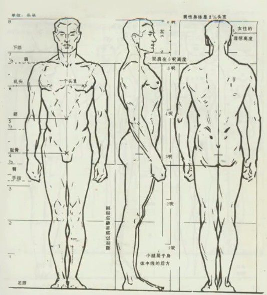 篮球简易画法_篮球技巧简画_篮球咋画简笔画