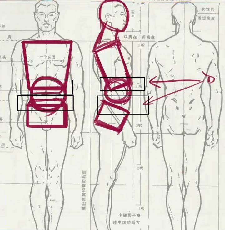 篮球咋画简笔画_篮球技巧简画_篮球简易画法