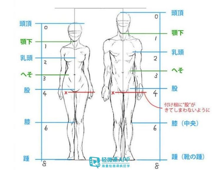 篮球咋画简笔画_篮球技巧简画_篮球简易画法