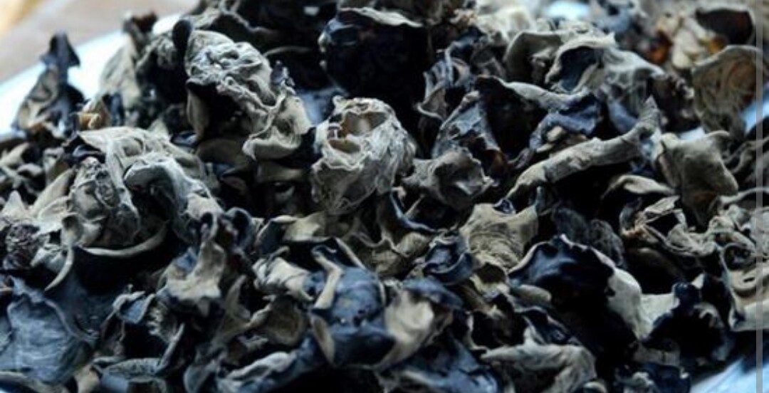 生活小窍门1500招_《生活小窍门》_生活窍门小窍门