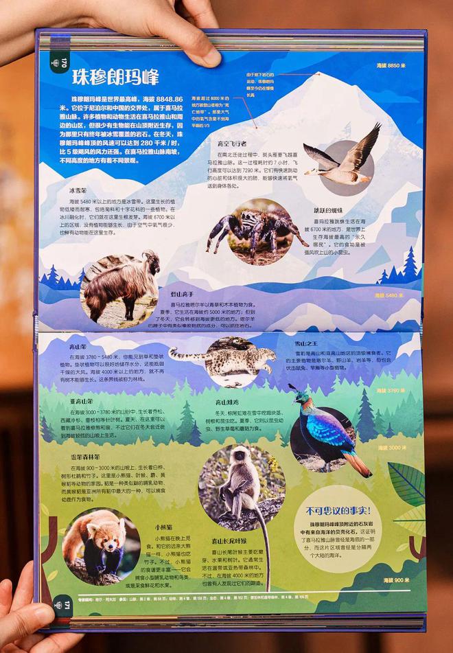 百科频道_生活百科栏目图片大全高清_百科图片