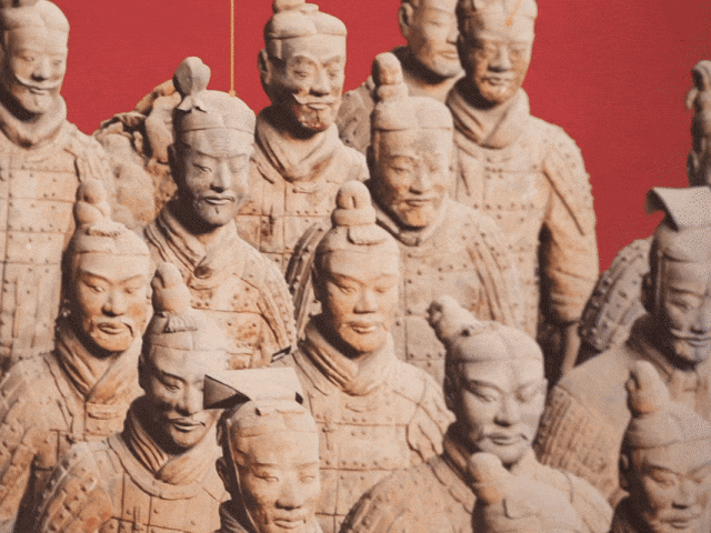 生活百科栏目图片大全高清_百科频道_百科图片