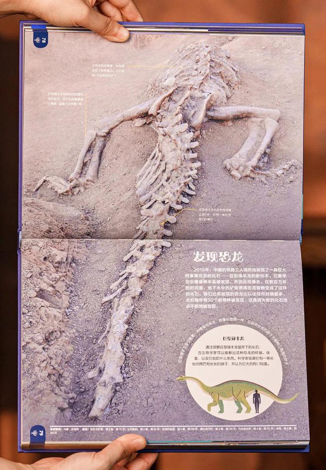 生活百科栏目图片大全高清_百科图片_百科频道