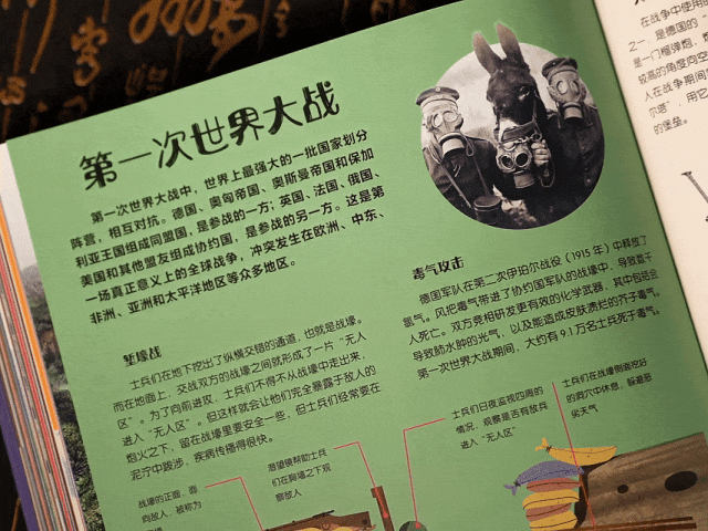 百科图片_生活百科栏目图片大全高清_百科频道