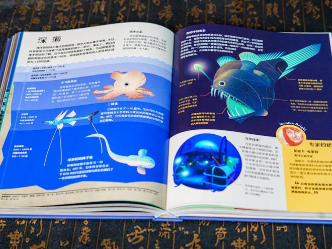 百科频道_生活百科栏目图片大全高清_百科图片