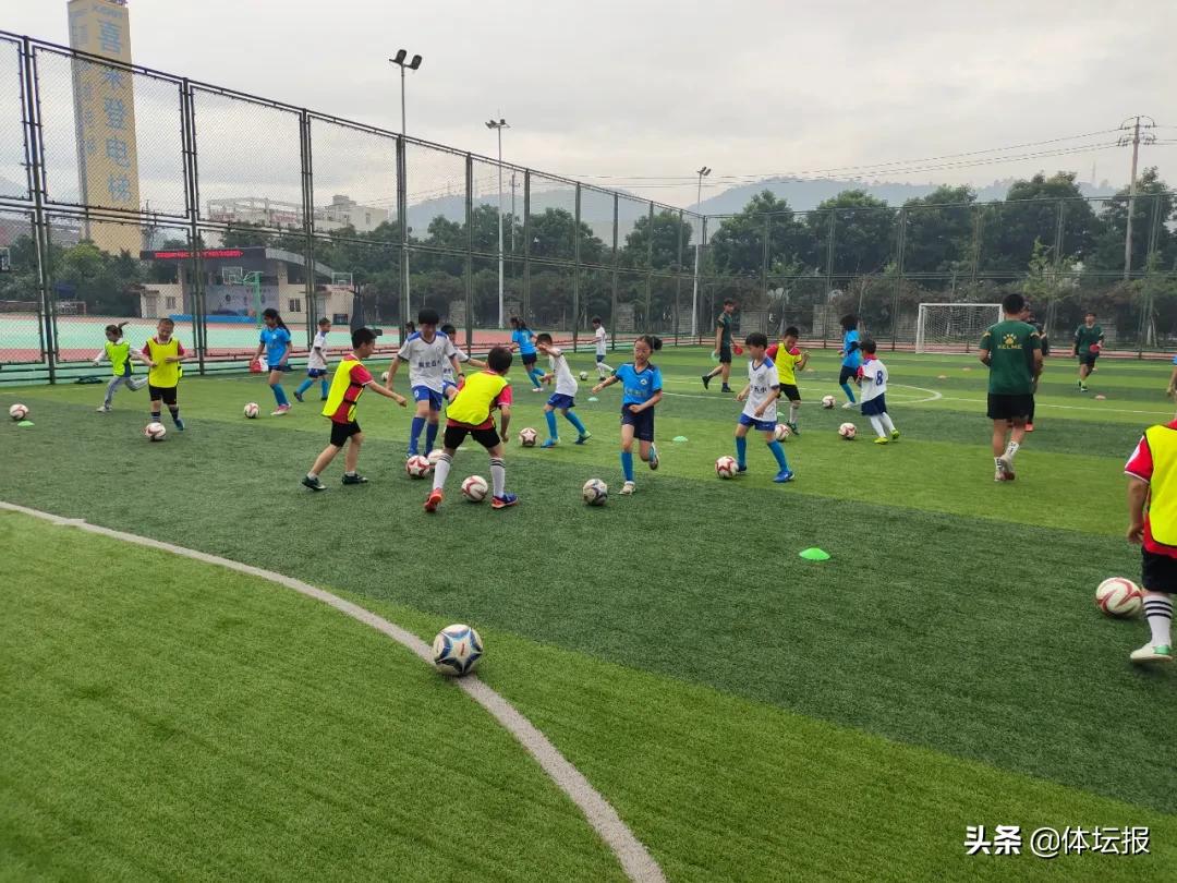 2021小学体操视频_体操小学生_永嘉县小学生体操